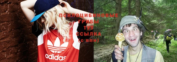 не бодяженный Абаза