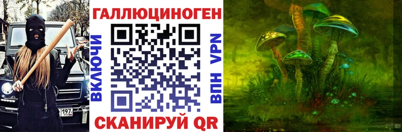 Псилоцибиновые грибы Psilocybe  сайты даркнета какой сайт  Абаза  omg  